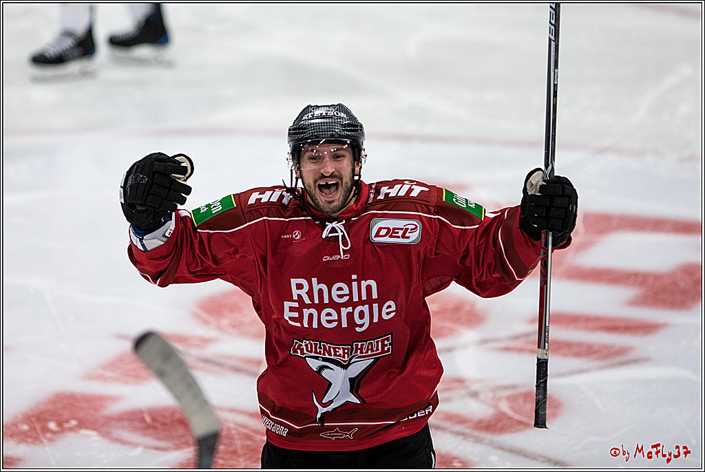 Koelner Haie - Straubing Tigers, 03.10.2016